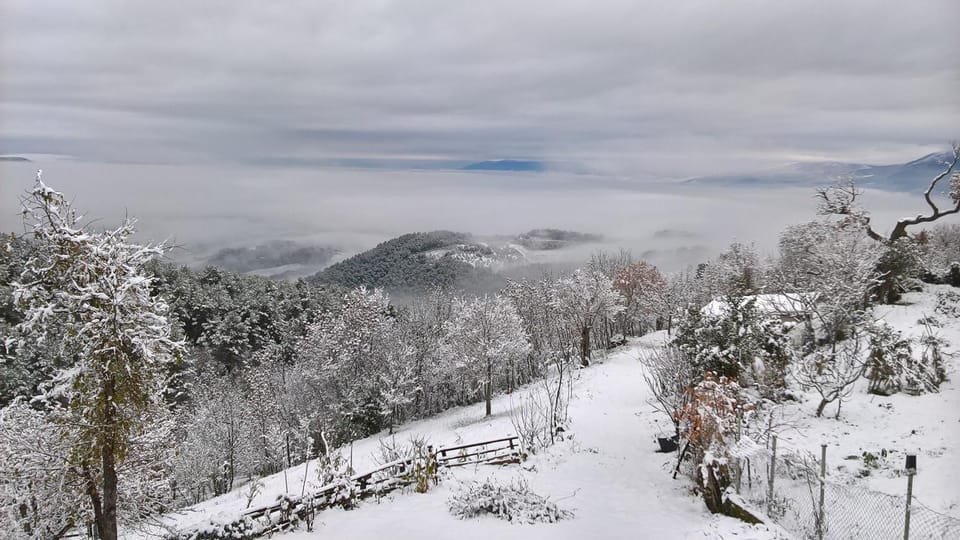 Natural landscape