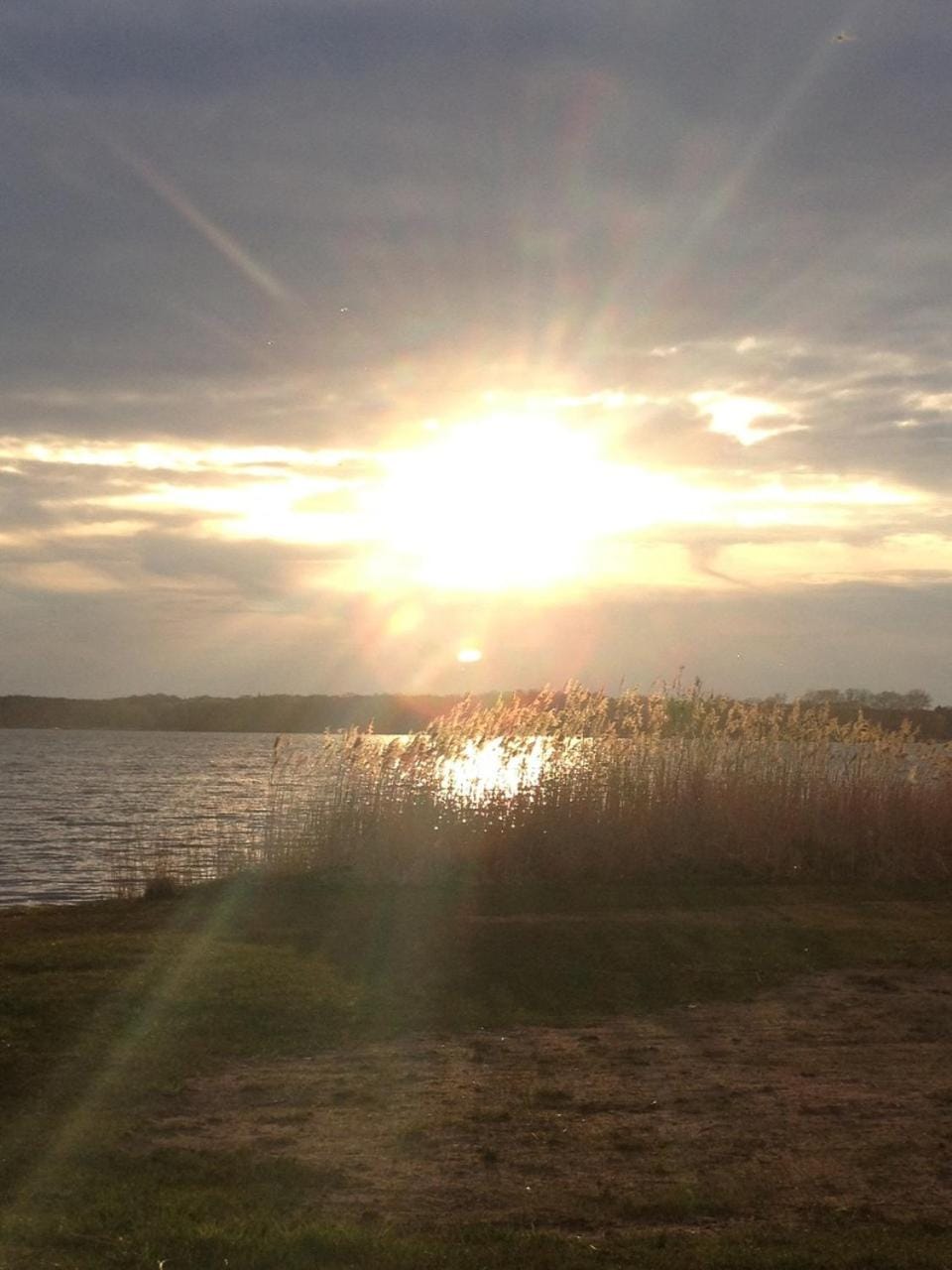 Beach, Lake view, Sunset