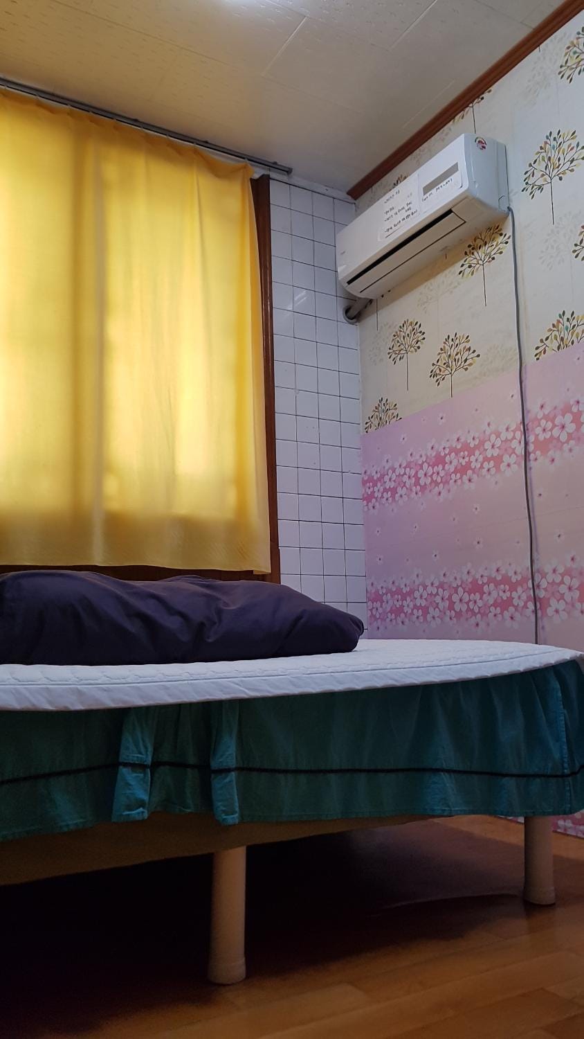 Guesthouse Spring Flower Hostel in South Korea