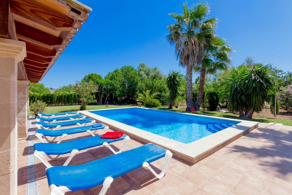 Garden, Garden view, Pool view, Swimming pool, Swimming pool, sunbed