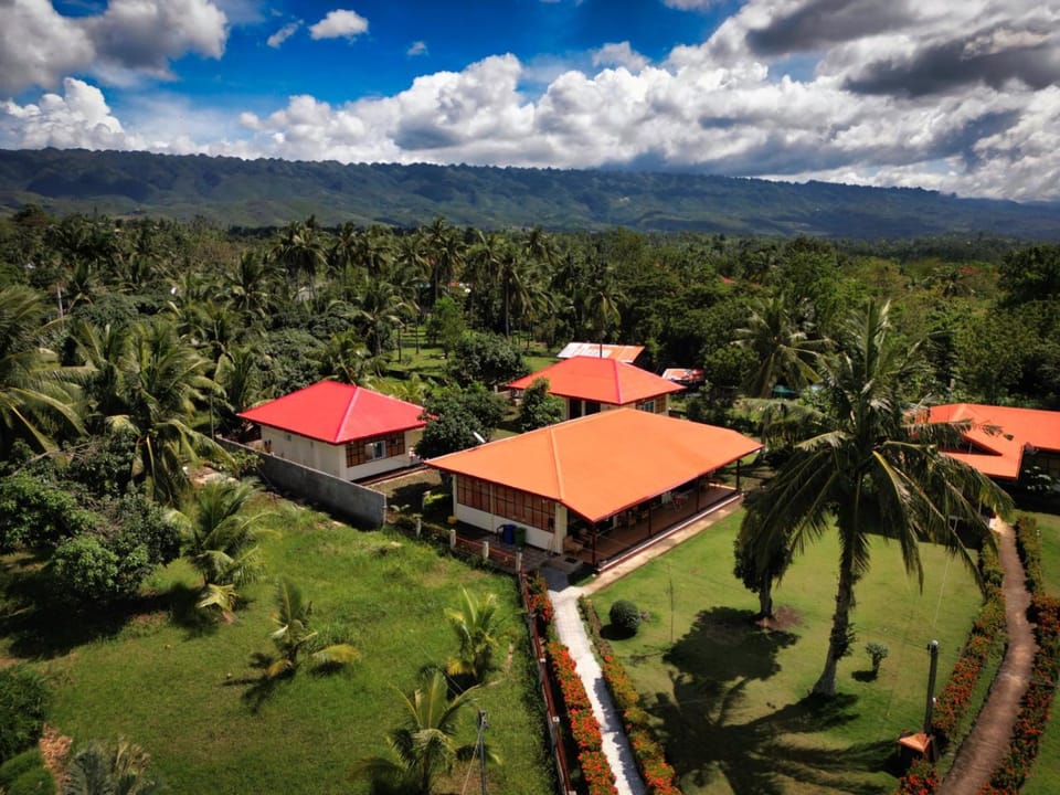 Day, Bird's eye view