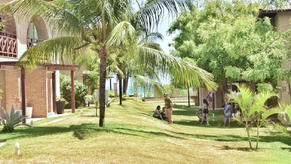 Natural landscape, Garden, Garden view