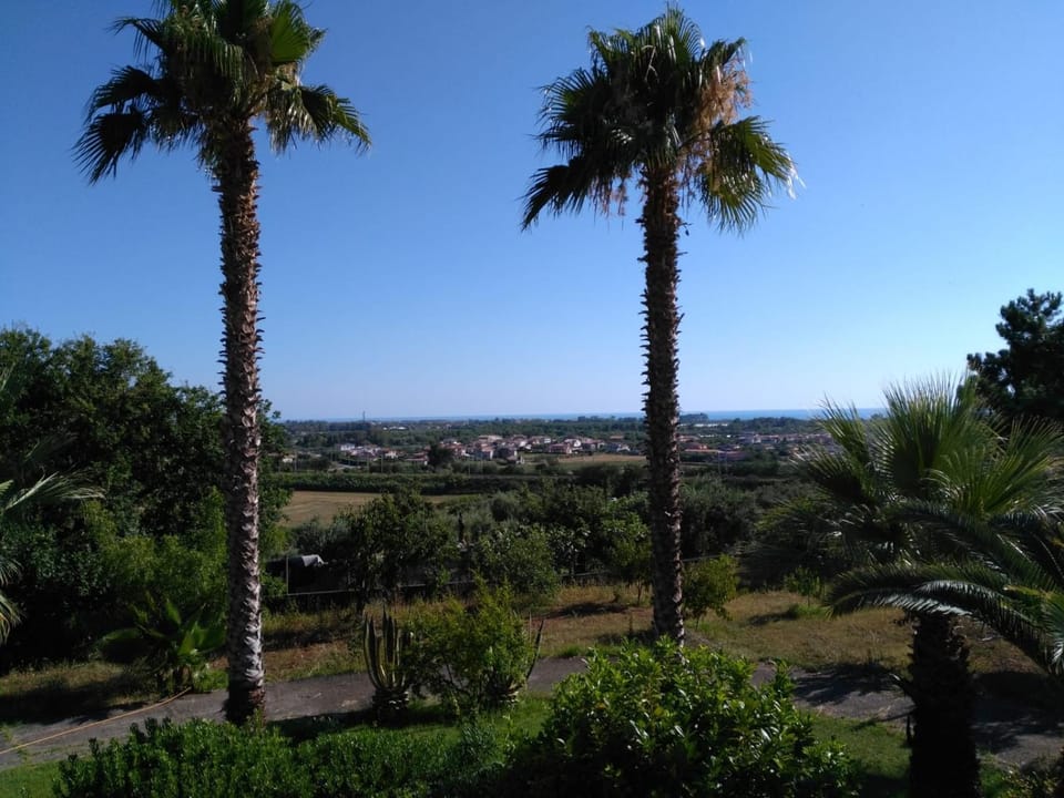 Natural landscape, Garden, Garden view, Sea view