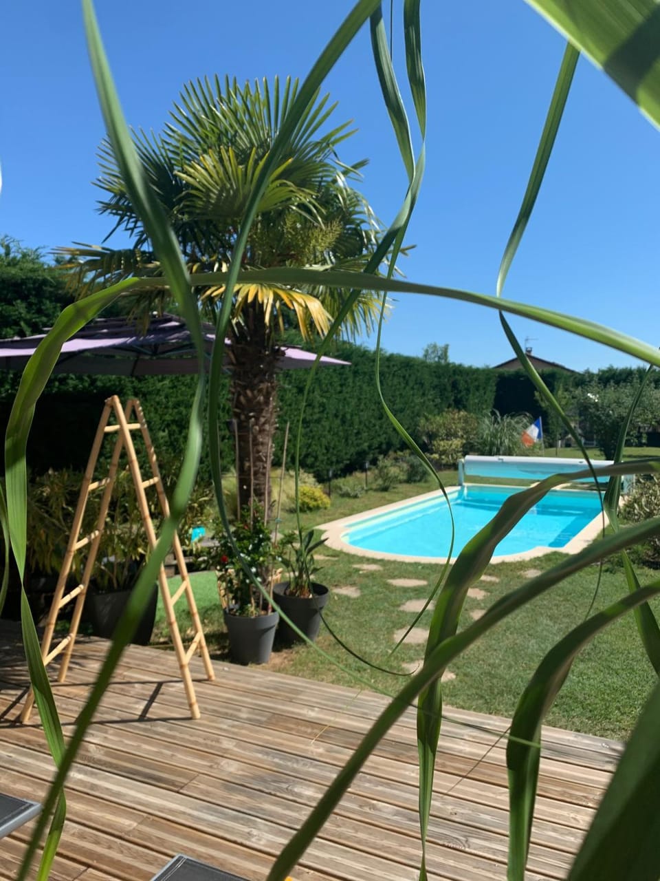 Patio, Day, Garden, Garden view, Pool view, Swimming pool, sunbed