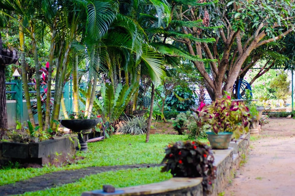 Garden, Garden view