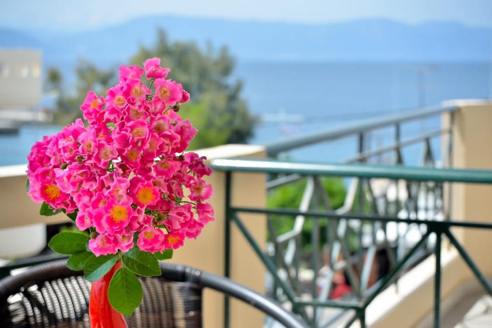 Balcony/Terrace, Decorative detail, Sea view