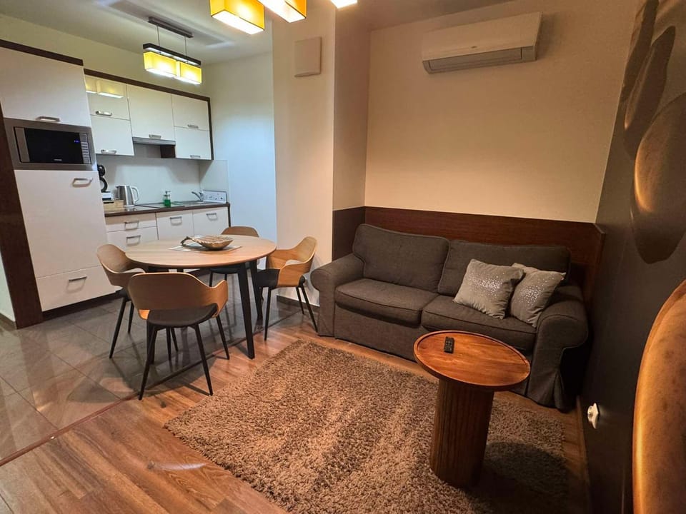TV and multimedia, Kitchen or kitchenette, Living room, Dining area, oven, pet friendly, air conditioner