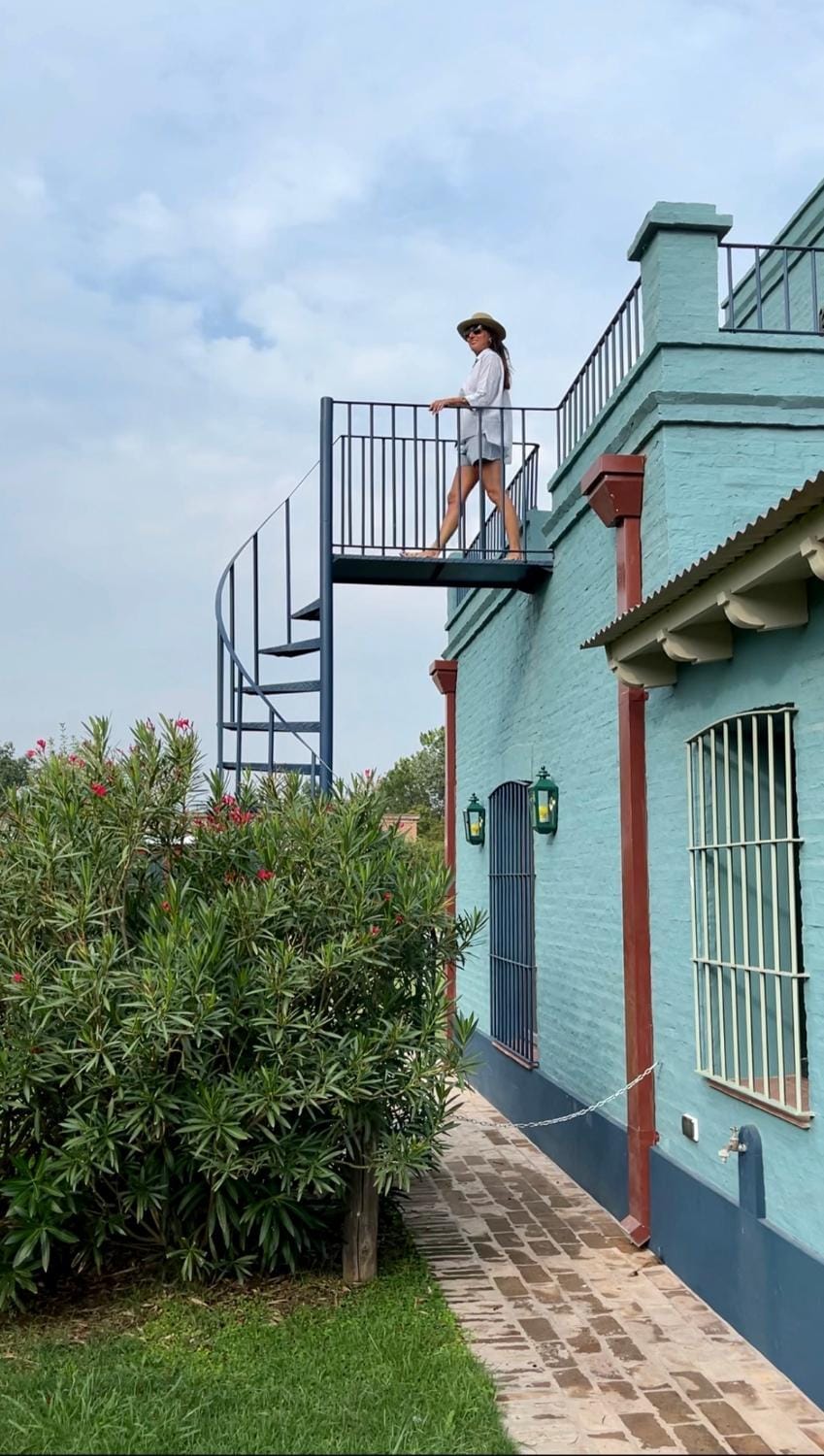 Balcony/Terrace, Garden view