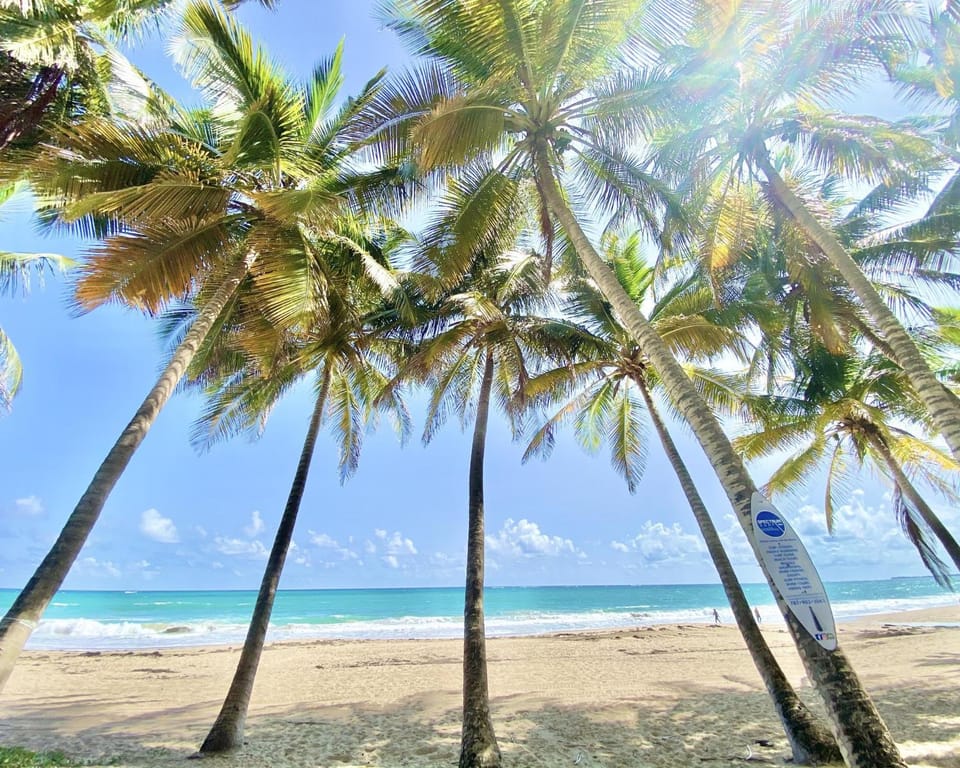Beachfront Condo Pool Beach Access B17 Apartment in San Juan