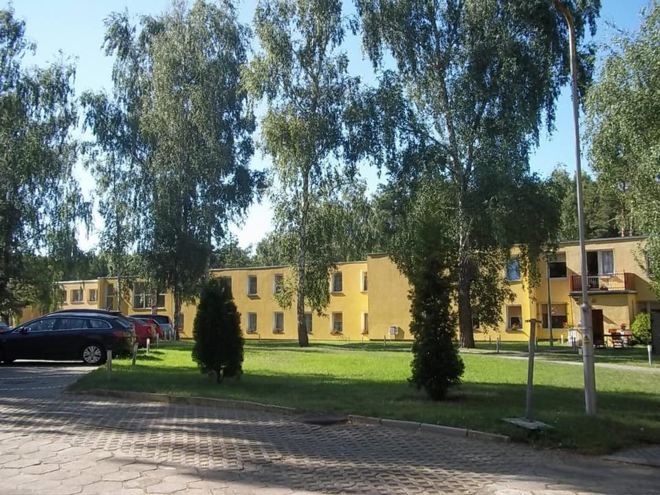 Property building, Day, Garden