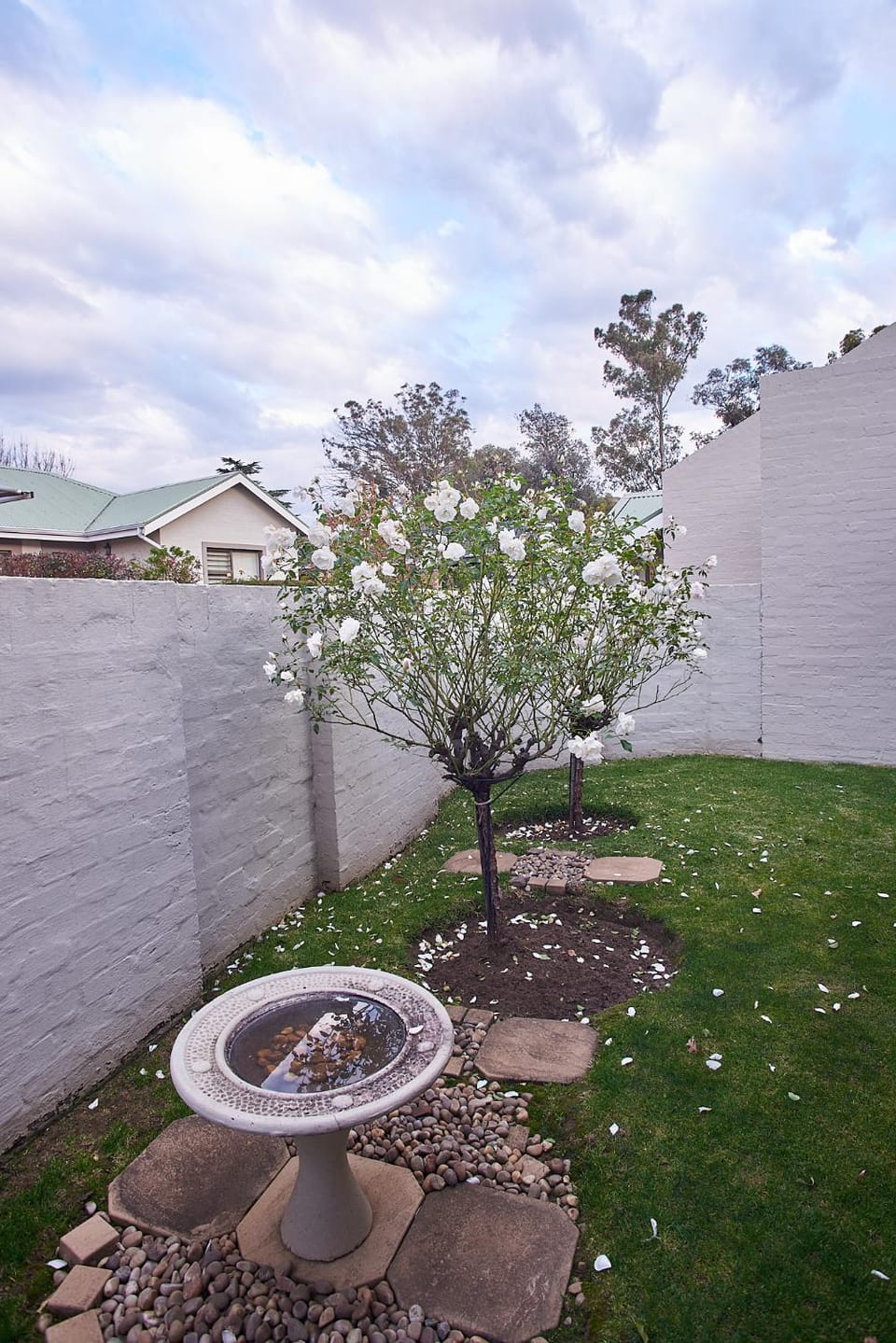 Garden view