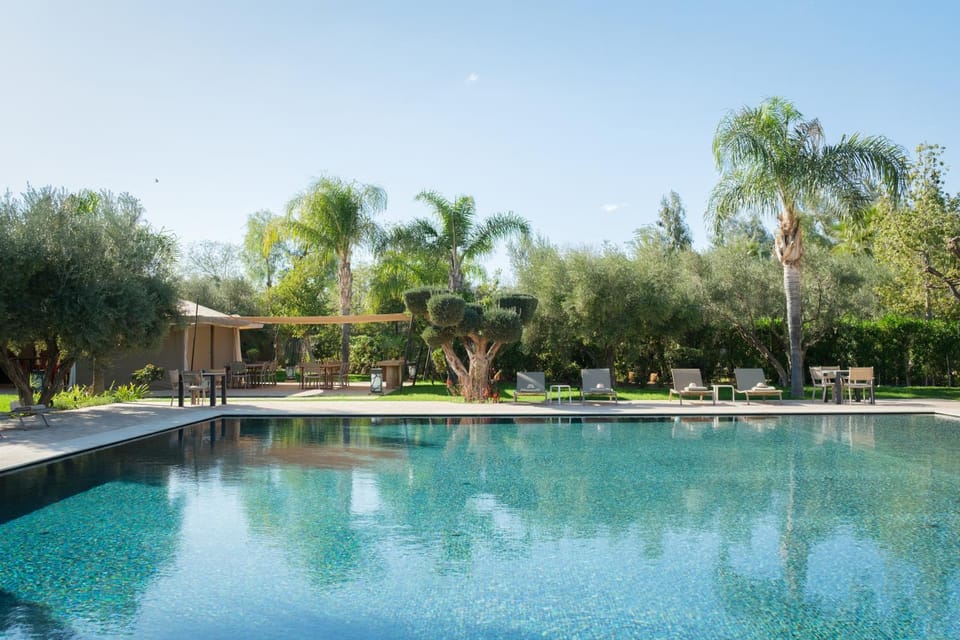 Garden, Swimming pool, sunbed