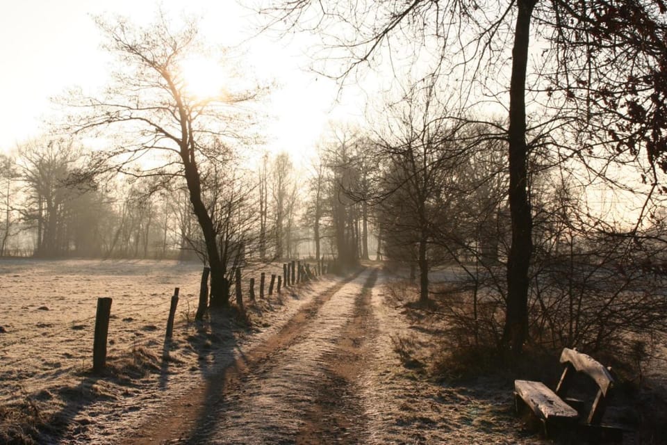 Natural landscape