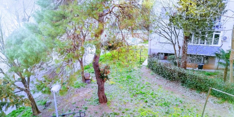 Natural landscape, Garden