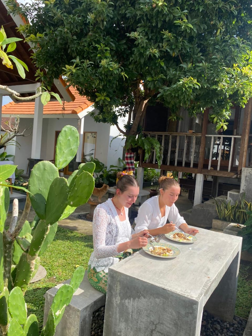 People, Garden view