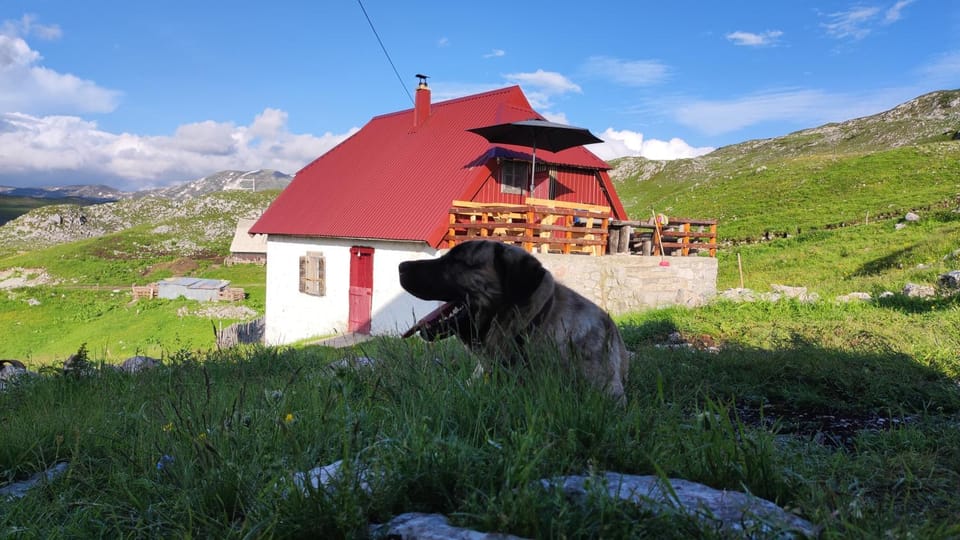 Katun Kuline Apartment in Montenegro