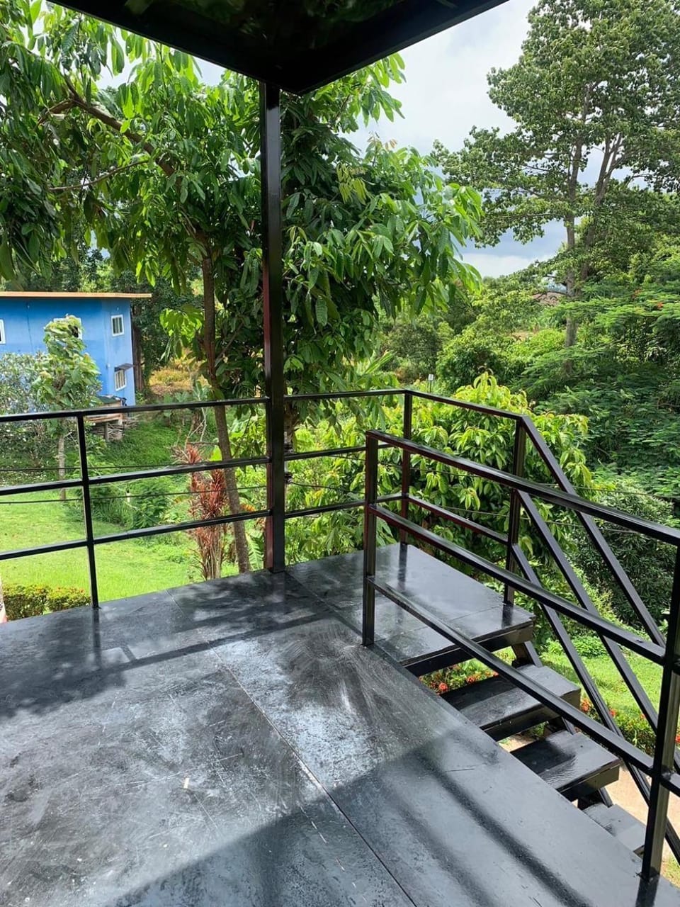 Day, Natural landscape, Garden, View (from property/room), Balcony/Terrace, Garden view