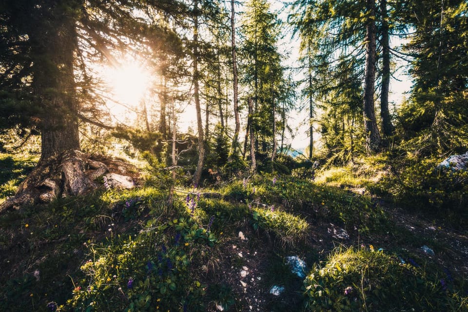 Hiking