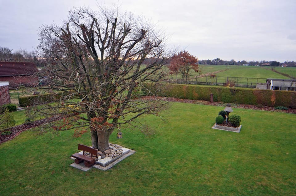Garden, Garden view