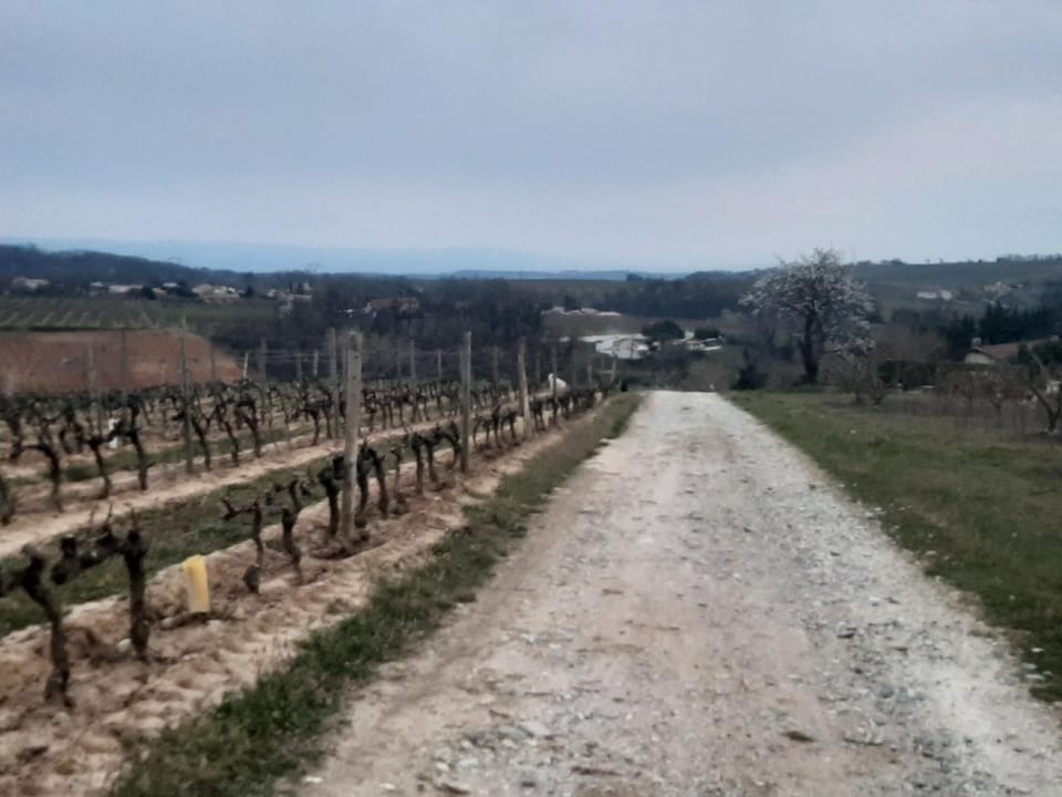 LE PRESSOIR House in Provence