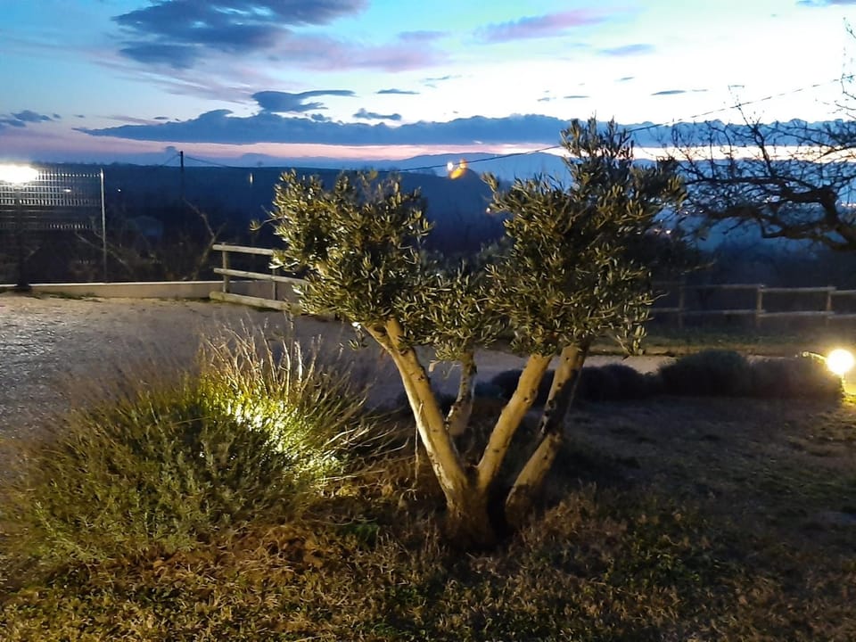 Natural landscape