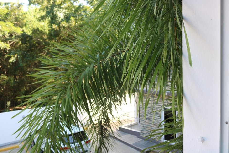 Day, Garden, View (from property/room), Garden view