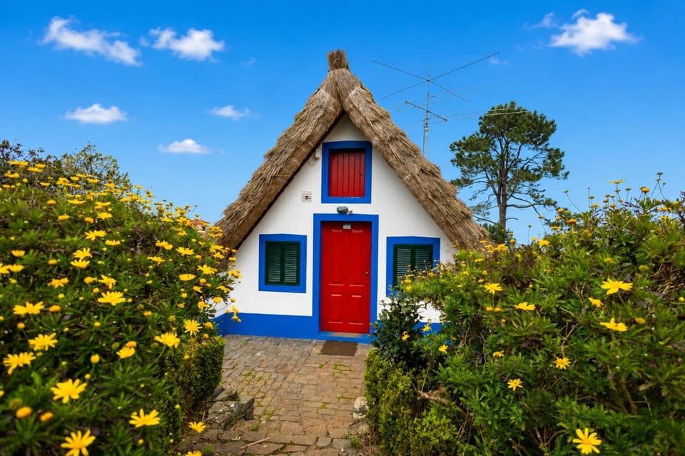 Casa da Tia Clementina Farm Stay in Madeira District