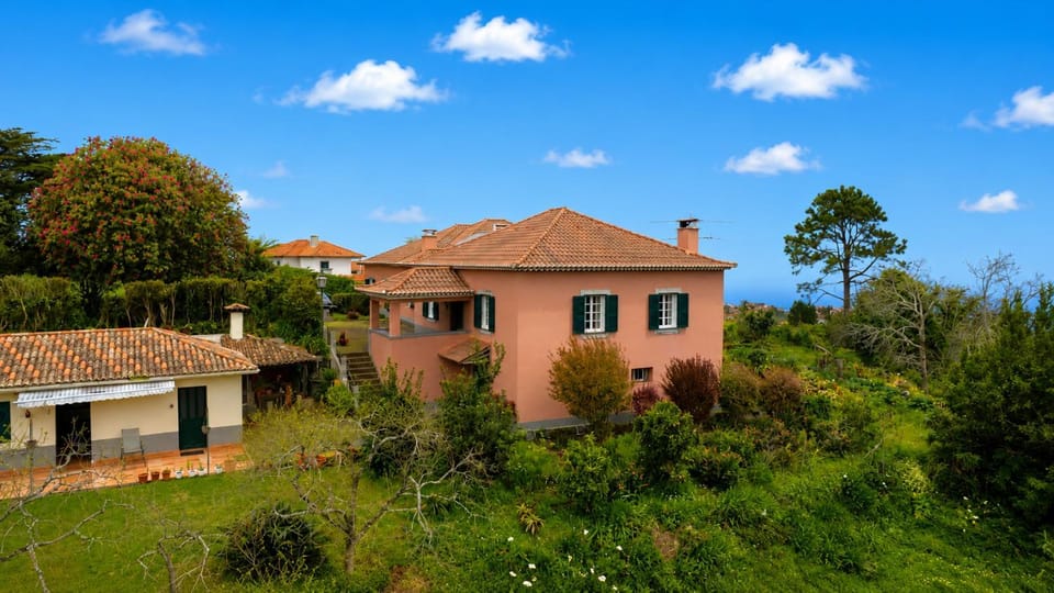 Casa da Tia Clementina Farm Stay in Madeira District