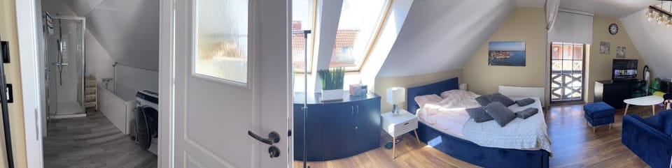 Shower, Toilet, Bathroom, TV and multimedia, Living room, Bedroom, Bath, hair dresser, towels, washing machine