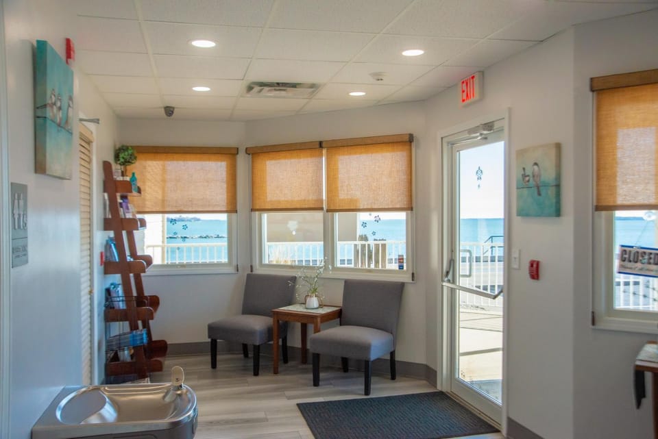 Facade/entrance, Lobby or reception