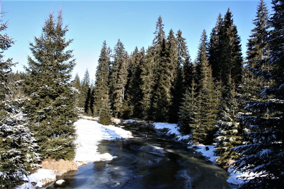 Neighbourhood, Natural landscape
