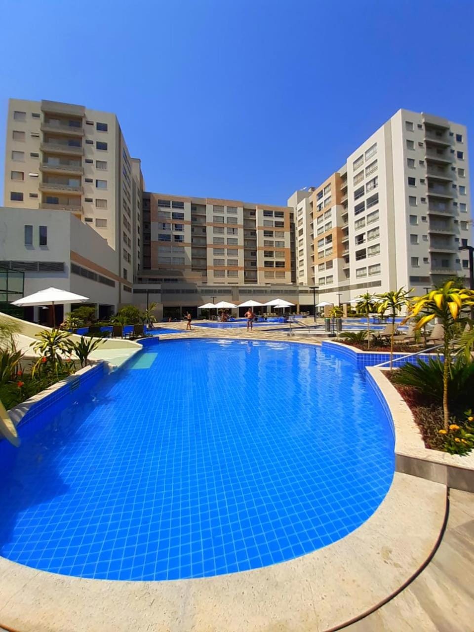 Swimming pool, Swimming pool