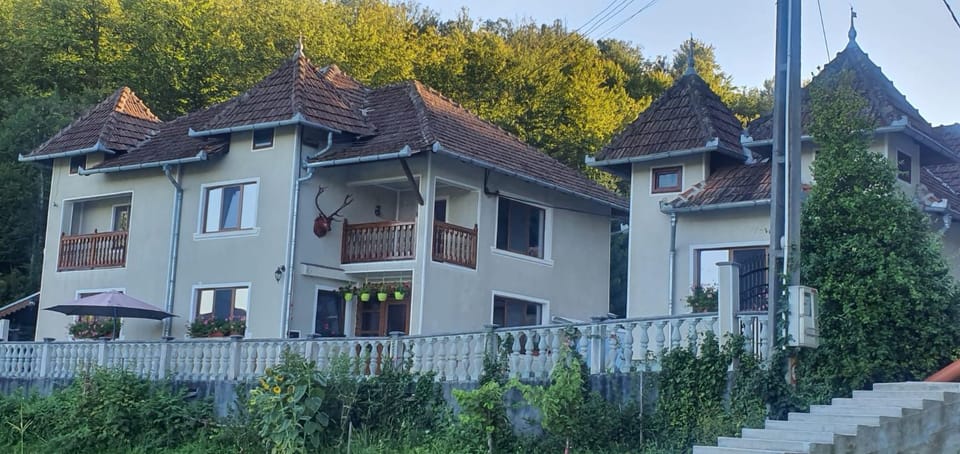 Property building, Day, Garden view