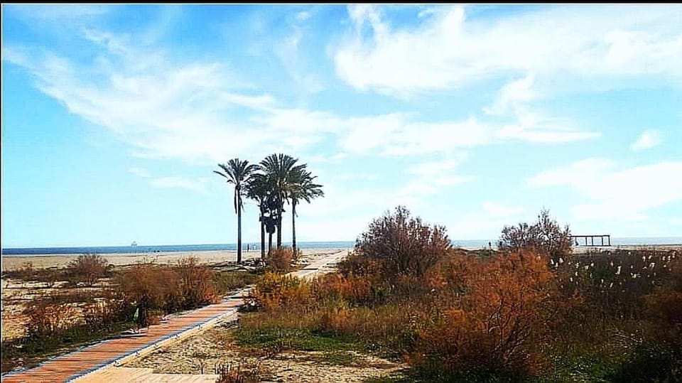 Nearby landmark, Spring, Summer, Beach, Autumn, Time of day