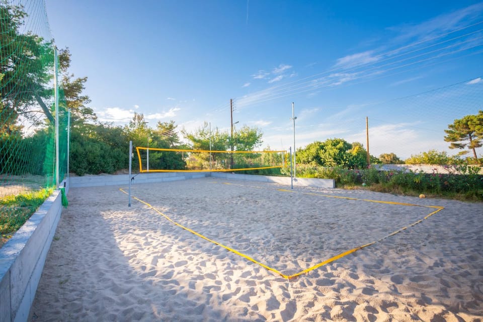 Activities, Garden, Area and facilities, Sports