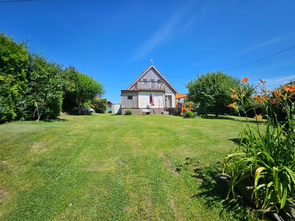 Property building, Summer, Garden, Garden view