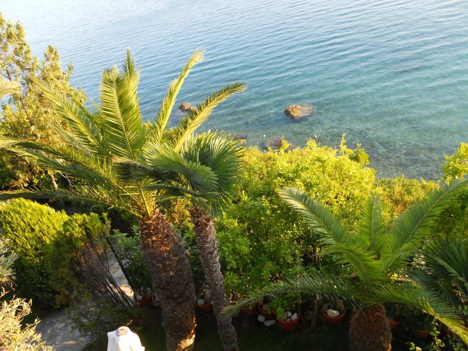 Sea view