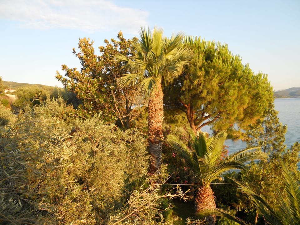 View (from property/room)