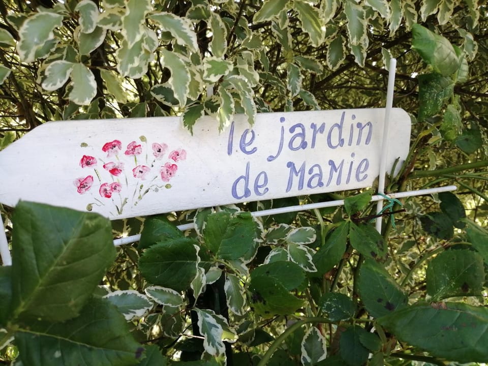 Maison d'hôtes Les Vallées Bed and Breakfast in Normandy
