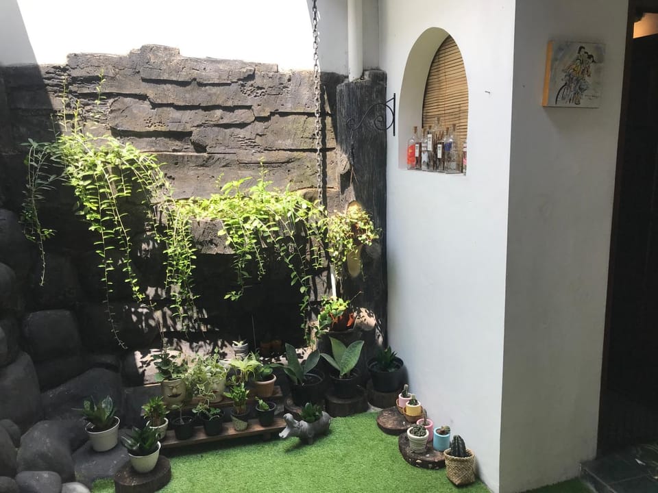 Garden view
