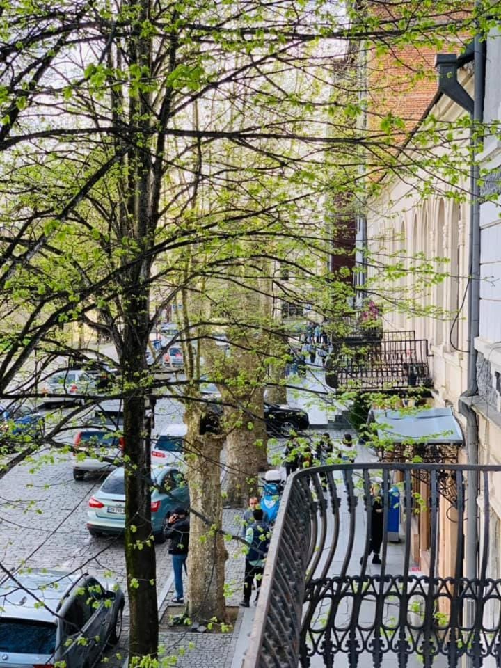 Spring, Day, Neighbourhood, Street view