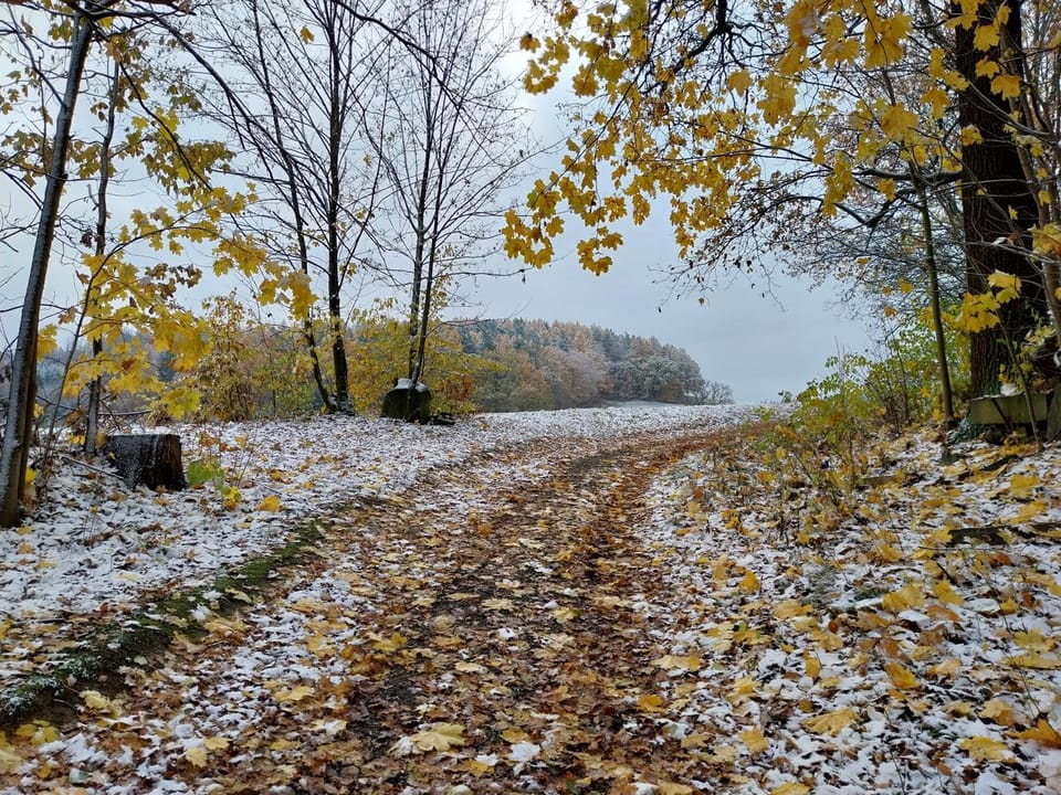 Hiking, Hiking, Cycling, Seasons