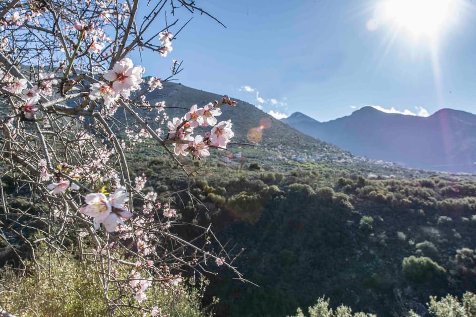 Natural landscape, Mountain view