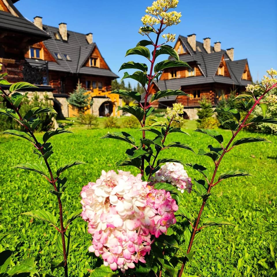 Property building, Garden, Garden view