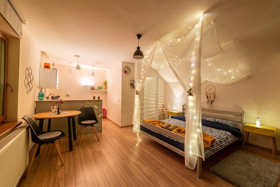 Dragonfly Studio with GARDEN Apartment in Brasov