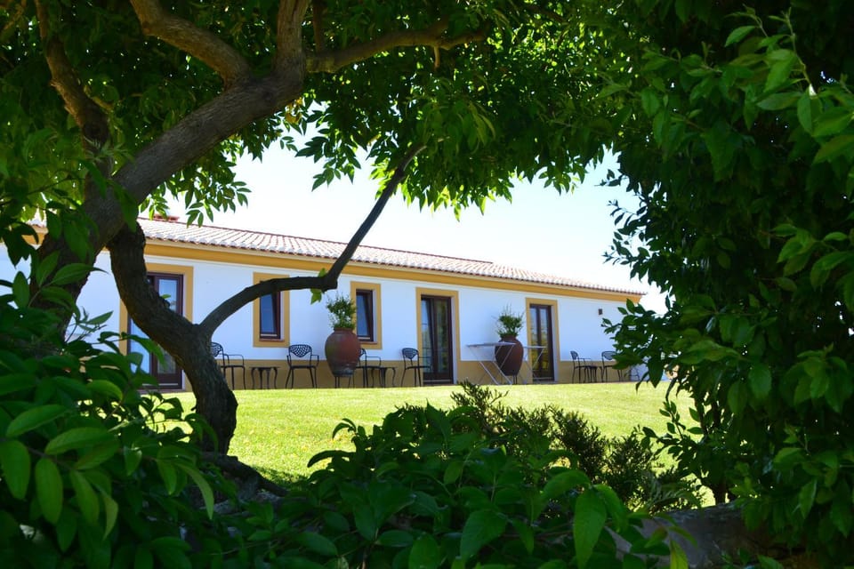 Property building, Off site, Garden