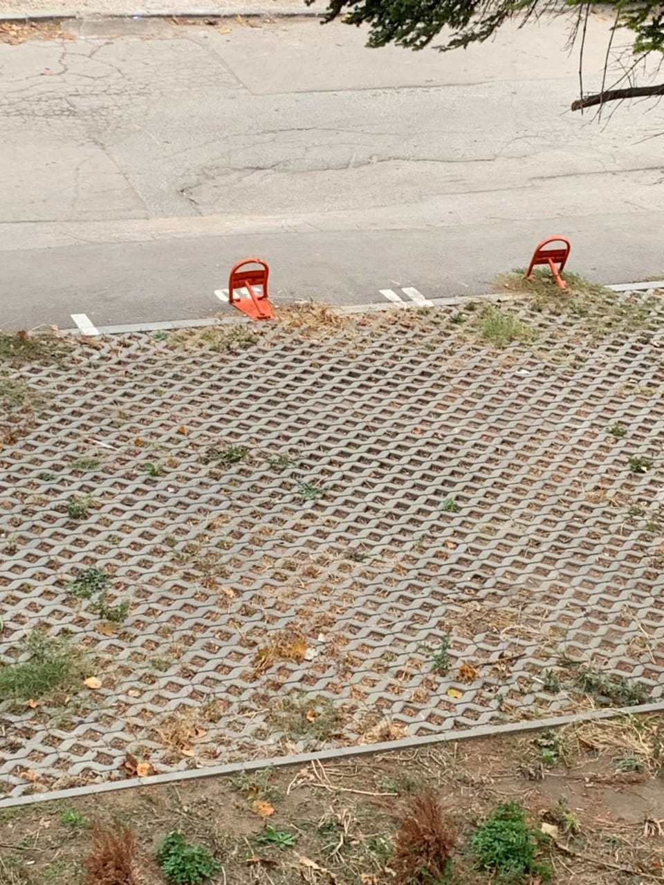 Day, Parking