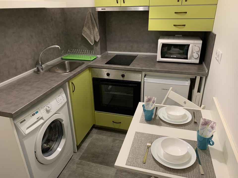 Kitchen or kitchenette, minibar, oven, pet friendly, stove, washing machine