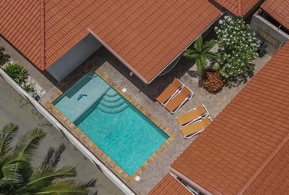 Swimming pool, sunbed