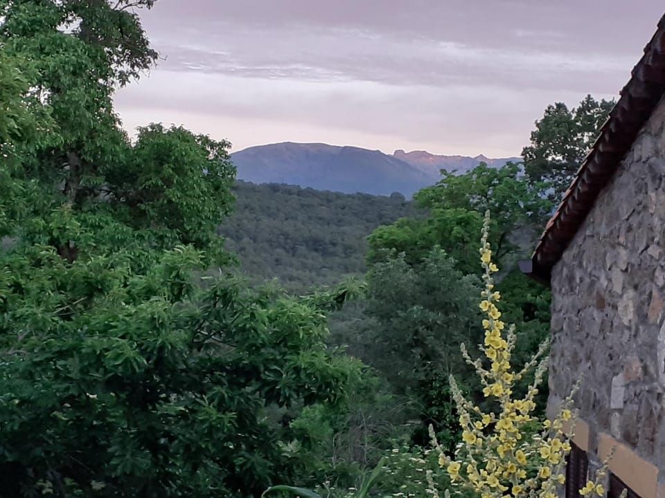 Natural landscape, Hiking, Mountain view